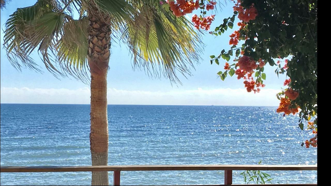 Mi Capricho Beachfront- P301 Apartment With Sea View Sitio de Calahonda Exterior foto